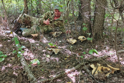 Грузди в Ивановском округе