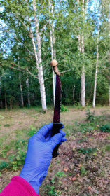 На острие ножа! Подосиновик, Мазановский округ