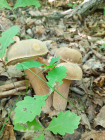 Семейка из с. Ивановка