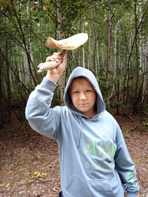 Подосиновик-гигант! г. Тында