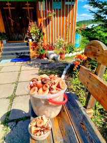 Грибочки радуют прихожан, п. Дипкун