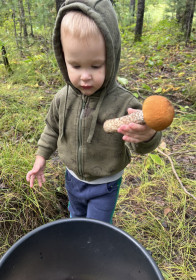 Подосиновик и юный грибник, Благовещенский округ
