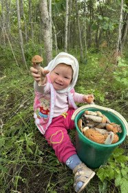 Подосиновик,  г. Белогорск