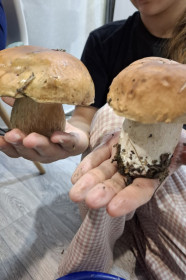 Беленькие из Зеи