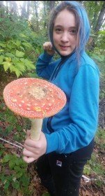 Мухомор, с. Васильевка, Белогорский округ