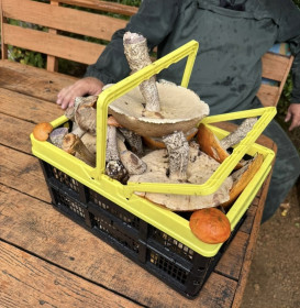 Подберезовики, с. Талакан