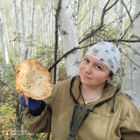 Груздь, г. Белогорск