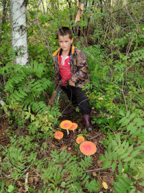 Мухомор, с. Малиновска, Шимановский округ