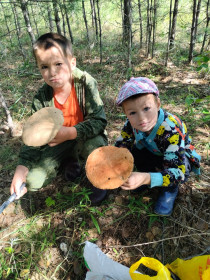 Главные грибники и их трофеи, с. Малиновска, Шимановский округ