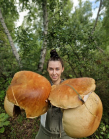 Белые грибы близ села Киселеозерка, Белогорский округ