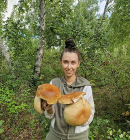 Белые грибы близ села Киселеозерка, Белогорский округ