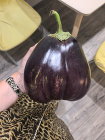 Гигантский баклажан, с. Грибское