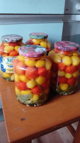 Помидорки из с.Муравьёвка