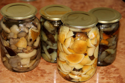 Грибочки в маринаде, г. Благовещенск