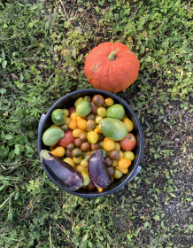 Все краски амурской осени, с. Верхнеблаговещенское