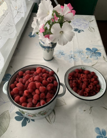 Северная малина, п. Береговой