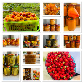 Урожай 2025, с. Чигири