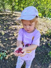 Вкусняшки со своей дачи, г. Благовещенск