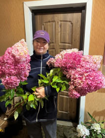 Любимые гортензии, г. Зея