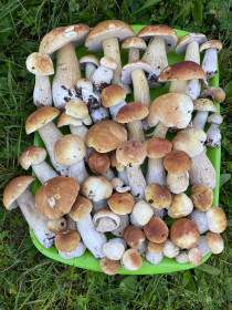 «Белая» компания, г. Зея