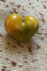 Сочное сердечко, с. Муравьёвка