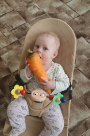 Внучкоурожай: морковь и Арина, с. Козьмодемьяновка Тамбовский округ