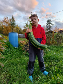 Кабачок-гигант из Невера