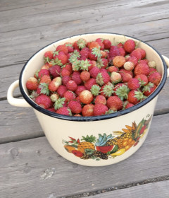 Клубничка из с. Муравьёвка