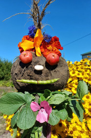 Смешная редька, г. Белогорск