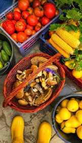 Мой урожай (Серышево)