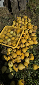 Яркие моменты сентября. Серышево