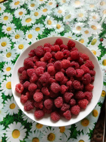 Малинка, с. Новоникольск Свободненский район