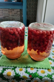 Вкусняшки витаминные, с. Новоникольск