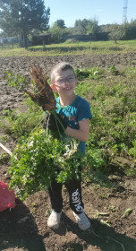 Многоморковка, с. Гродеково