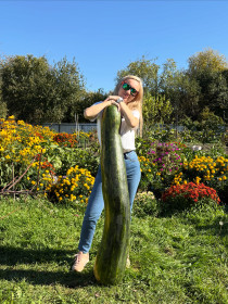 Тыква для Золушки, г.Благовещенск