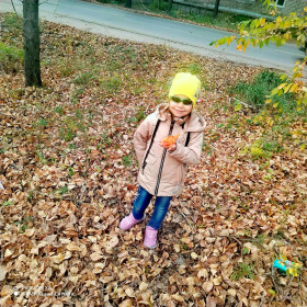 Листья жёлтые. Белогорск