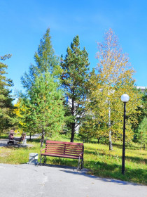 Мой любимый Завитинск