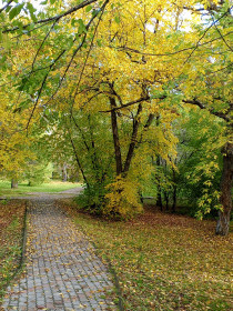Сквер Александровский, Белогорск