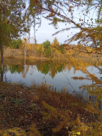 Осенние краски в Тыгдинском карьере