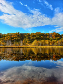 Озеро Песчаное, Моховая падь