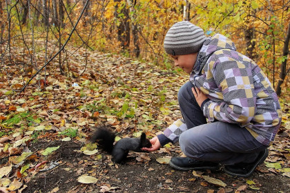 Сын Иван кормит белочку в Первомайском парке.