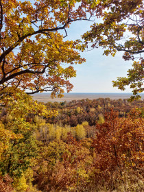 Осенние виды, Моховая падь