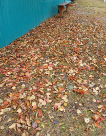 Листопад, с.Новоникольск