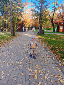 Осень в Первомайском парке.