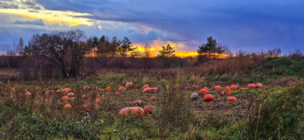 Осенний пейзаж в п. Серышево