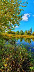 Солнечный день (Серышевский округ)