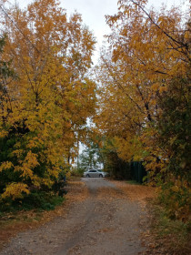 Осенние не опавшие листья. Белогорск