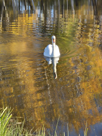 Прогулка в парке. с. Ивановка.