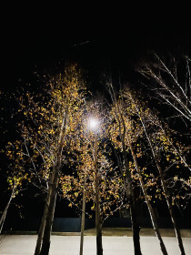 Ночь, улица, фонарь. Екатеринославка