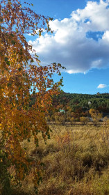 Осенний мотив, Егорьевка